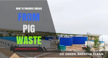 Sustainable Energy Solutions: Producing Biogas from Pig Waste Efficiently