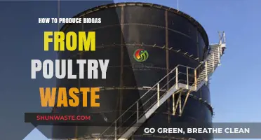 Sustainable Energy: Producing Biogas from Poultry Waste Efficiently