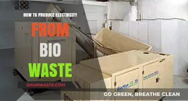 Harnessing Bio Waste: Sustainable Electricity Generation Methods and Benefits