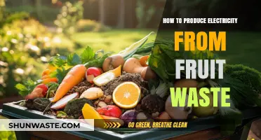 Transforming Fruit Waste into Clean Energy: A Sustainable Power Solution