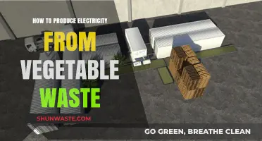 Turning Vegetable Waste into Power: Sustainable Electricity Generation Methods