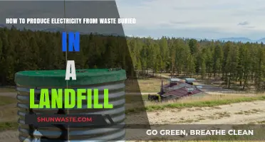 Turning Trash into Power: Landfill Waste-to-Electricity Solutions