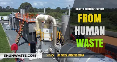 Turning Human Waste into Power: Sustainable Energy Solutions for a Greener Future