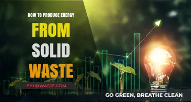 Transforming Trash to Power: Innovative Ways to Generate Energy from Solid Waste