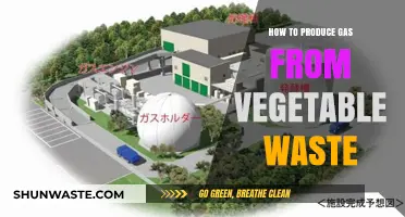 Transforming Vegetable Waste into Clean Energy: A Step-by-Step Guide