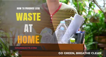 Simple Steps to Reduce Home Waste and Live Sustainably