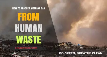 Turning Human Waste into Methane: A Sustainable Energy Solution Guide