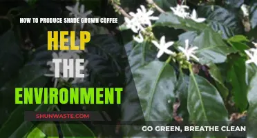 Shade-Grown Coffee: Eco-Friendly Farming for a Greener Future