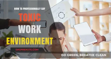 Navigating Workplace Challenges: Addressing a Toxic Work Environment Professionally