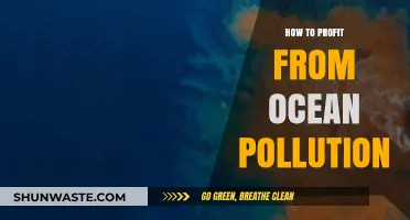 Profiting from Pollution: Ocean Cleanup Innovations