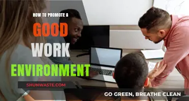 Fostering Productivity: Strategies to Cultivate a Positive Work Environment