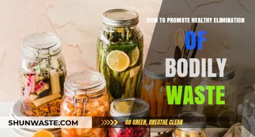 Boost Digestion: Simple Tips for Healthy Waste Elimination Naturally