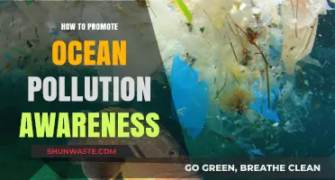 Protecting Our Oceans: Spreading Awareness to Stop Pollution