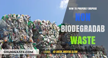 Eco-Friendly Solutions: Proper Disposal of Non-Biodegradable Waste