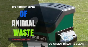 Eco-Friendly Pet Waste Disposal: A Comprehensive Guide
