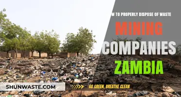 Eco-Friendly Disposal: A Guide for Zambia's Mining Waste