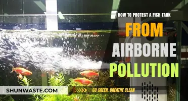 Protect Your Fish Tank: Shielding from Airborne Pollution