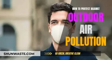 Protecting Yourself from Outdoor Air Pollution