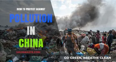 Protecting Yourself from Pollution in China