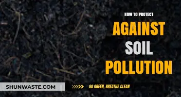 Protecting Soil: Strategies to Combat Pollution
