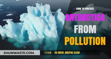 Protecting Antarctica: Preventing Pollution for Future Generations