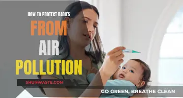 Protecting Babies from Air Pollution: A Guide for Parents