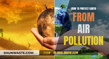 Protecting Our Planet: Reducing Air Pollution's Impact