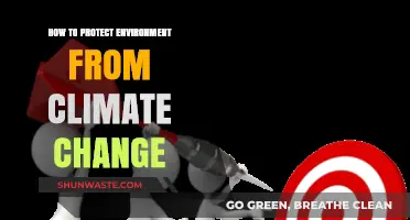 Sustainable Actions: Protecting Our Environment from Climate Change Impacts
