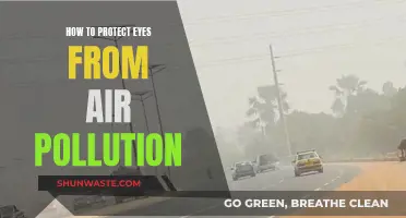 Protecting Eyes from Air Pollution: Tips for Safety