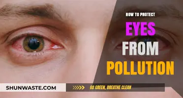 Protecting Eyes from Pollution: Tips for Healthy Vision