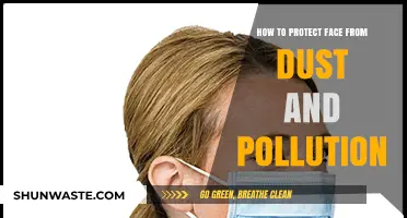 Protect Your Face: Shielding from Dust and Pollution