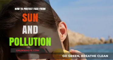 Protecting Your Face: Sun and Pollution Defense