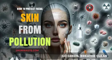 Protecting Your Facial Skin from Pollution: A Guide