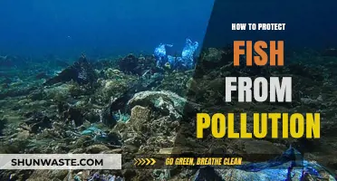 Protecting Fish: Pollution Prevention Strategies