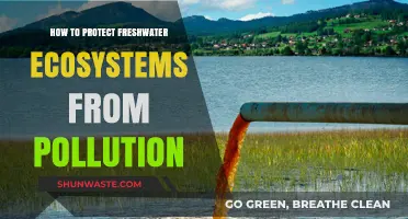 Protecting Freshwater Ecosystems: Preventing Pollution's Harmful Impact