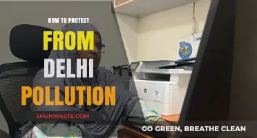 Protecting Yourself from Delhi's Pollution