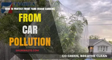 Protecting Front Yard Veggies from Car Pollution
