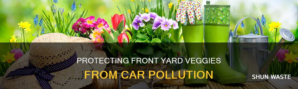 how to protect front yard veggie gardens from car pollution