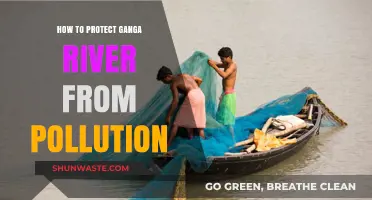 Protecting the Holy Ganga: Pollution Prevention Strategies