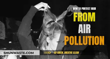 Protect Your Hair: Fight Air Pollution Damage