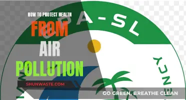 Protecting Health: Strategies Against Air Pollution