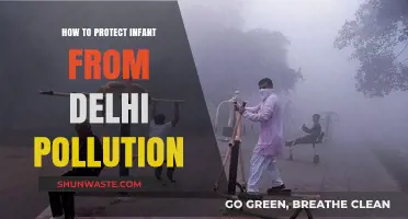 Protecting Your Infant from Delhi's Pollution