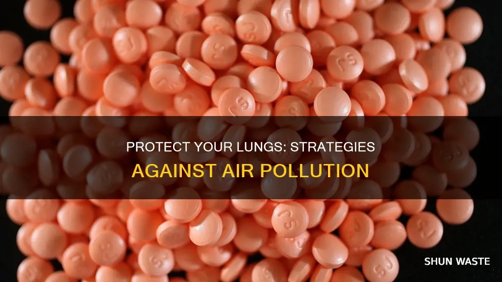 how to protect lungs against bad air pollution