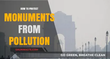 Preserving History: Protecting Monuments from Pollution