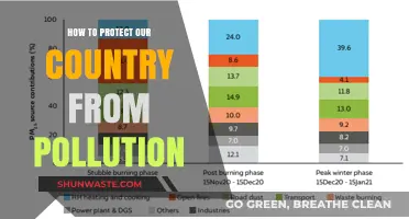 Protecting Our Country: Fighting Pollution Together