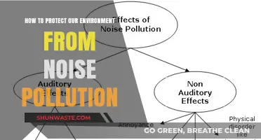 Protecting Our Environment from Noise Pollution