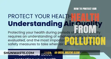 Protecting Our Health: Strategies Against Pollution