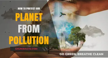 Protecting Our Planet: Stopping Pollution, Saving Nature