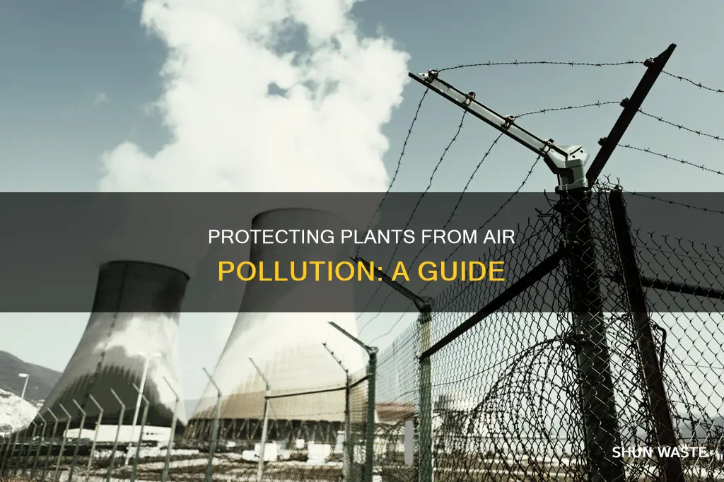 how to protect plants from air pollution