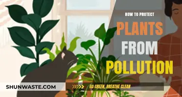 Protecting Plants: Strategies Against Pollution's Harmful Effects